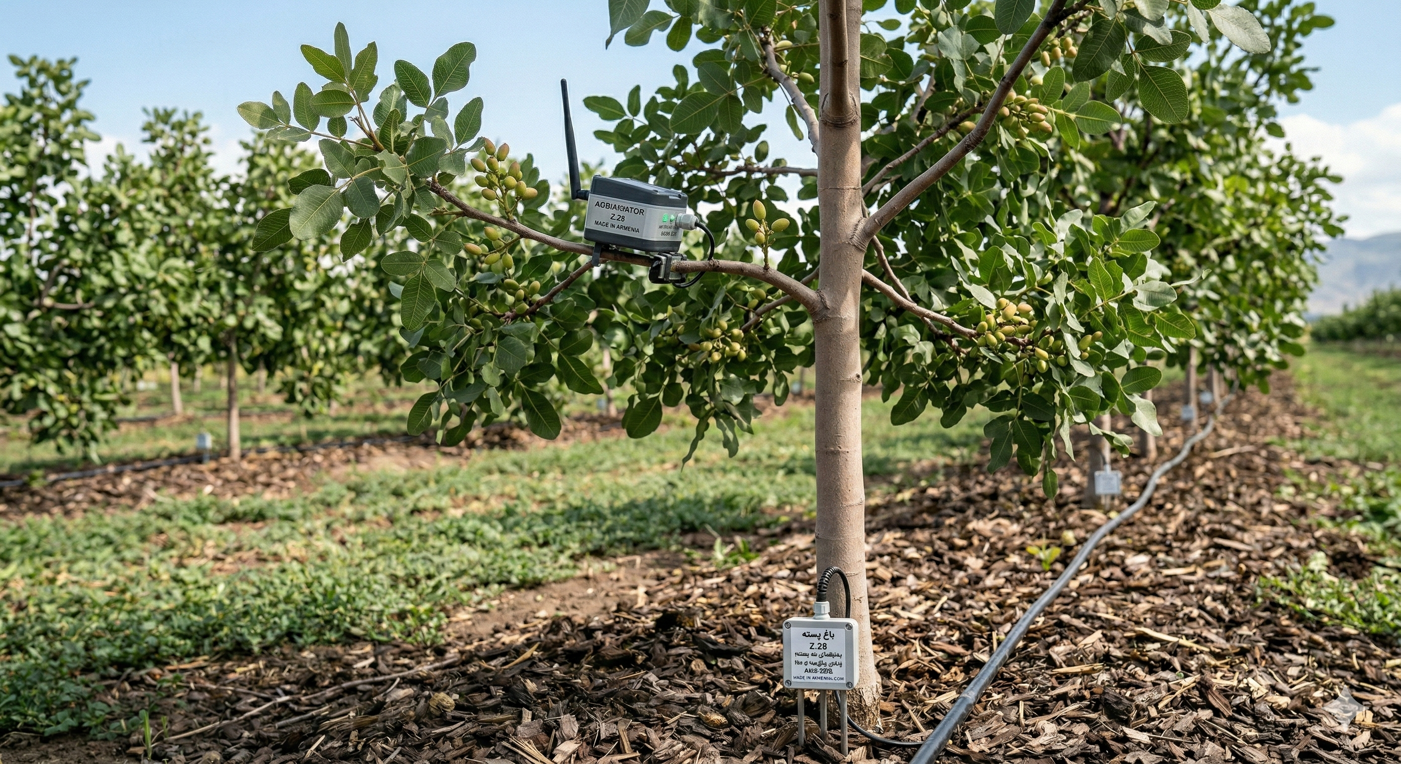 Bio-Digital Guardianship